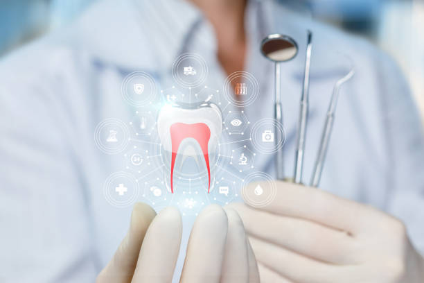 Best Dental Exams and Cleanings  in Universal City, TX